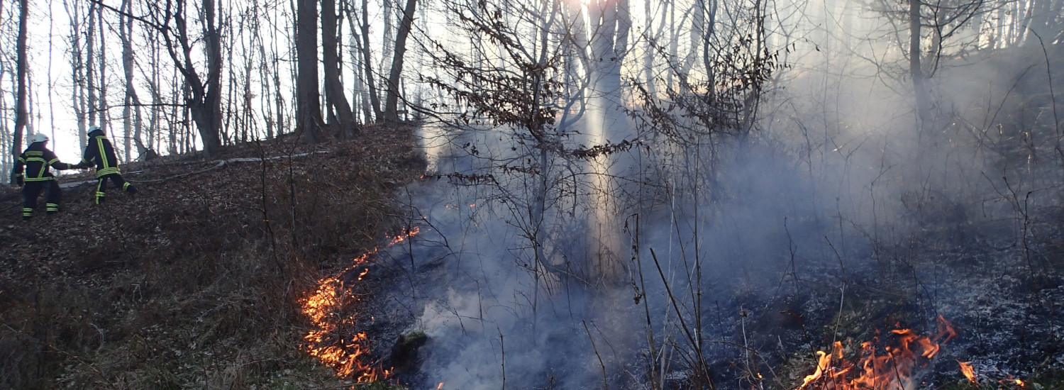 Waldbrandgefahr leicht gesunken