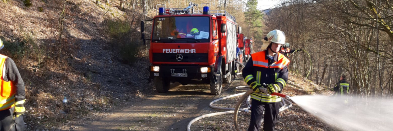 Waldbrand- und Flächenbrände